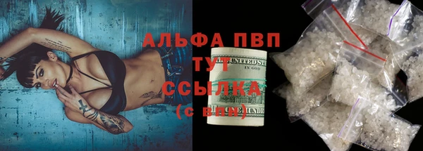 индика Вязники