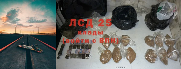 индика Вязники