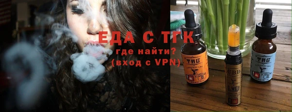 индика Вязники
