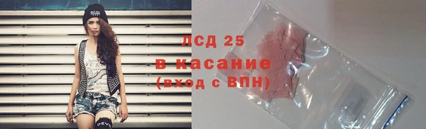 индика Вязники