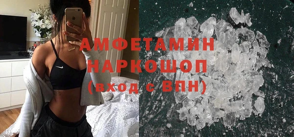 индика Вязники