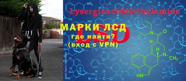 индика Вязники