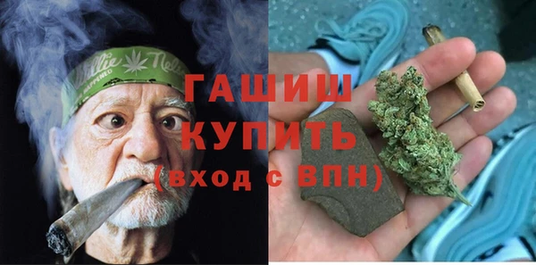 индика Вязники