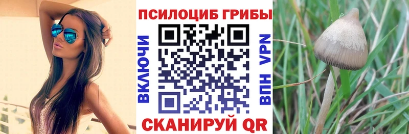 Галлюциногенные грибы мицелий  купить наркотик  MEGA как зайти  Зеленодольск 